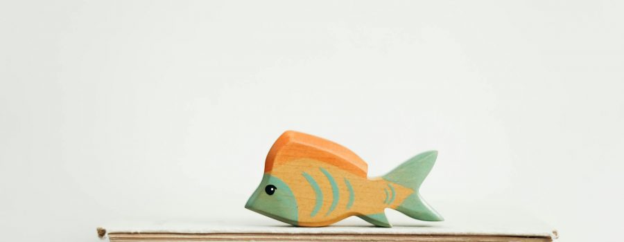 cărți cu tematică marină