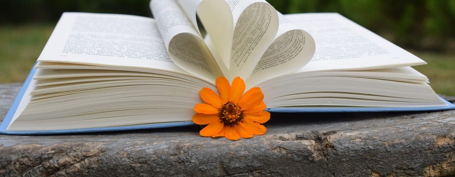 mituri despre anticariate